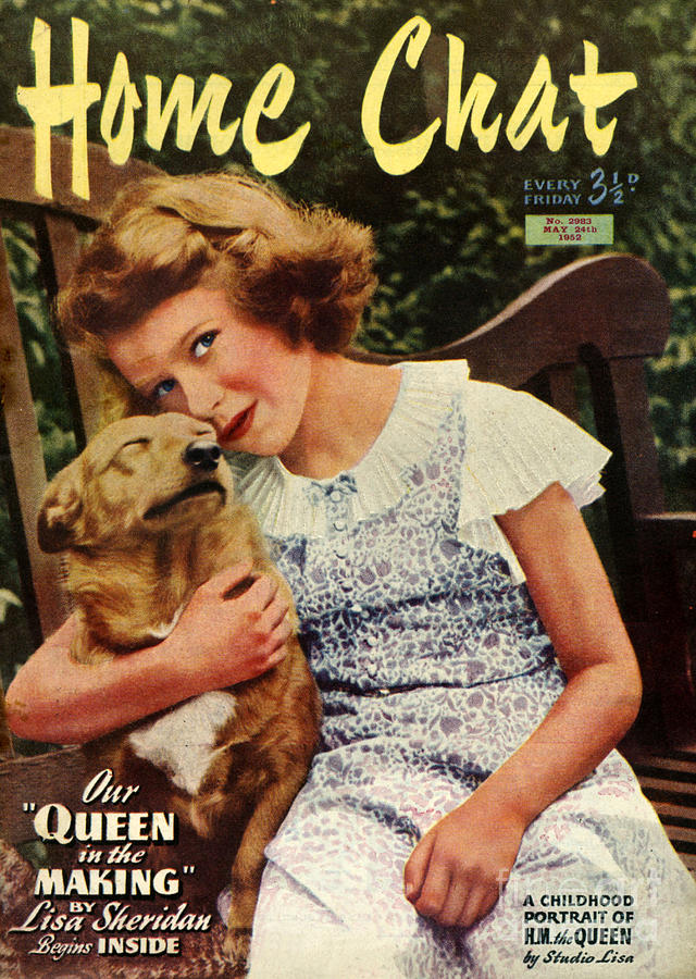 Dog Drawing - 1950s Uk Home Chat Magazine Cover #11 by The Advertising Archives