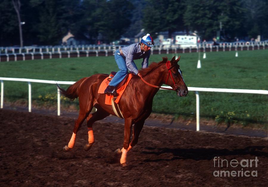 Affirmed #12 Photograph by Marc Bittan