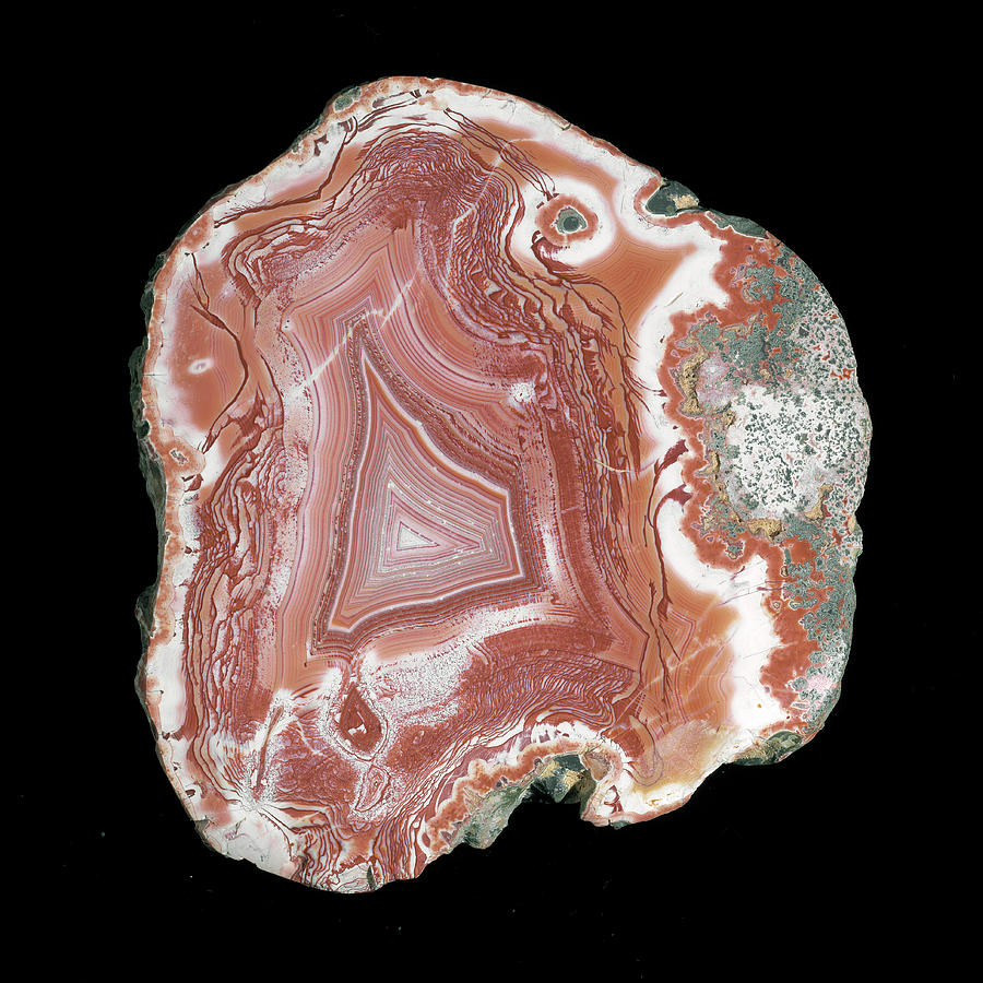 Agate #11 Photograph by Natural History Museum, London/science Photo Library
