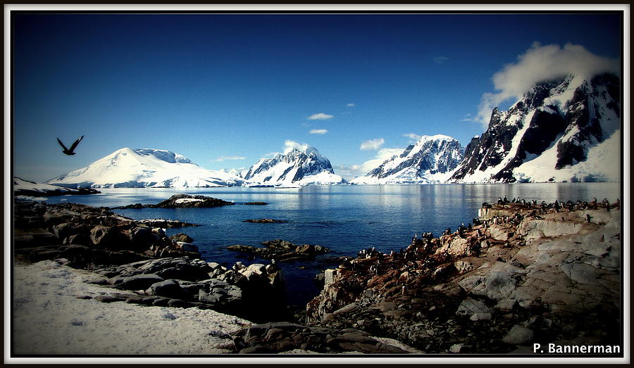 Antarctica #11 Photograph by Paul James Bannerman