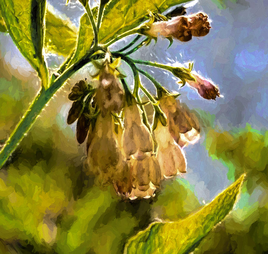 11 Artistic painterly Wild flower lightened by sun Photograph by Leif Sohlman