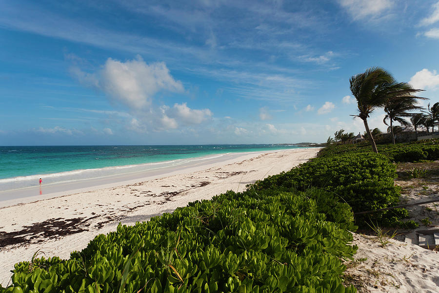 Bahamas, Eleuthera Island, Harbor Photograph by Walter Bibikow - Fine ...