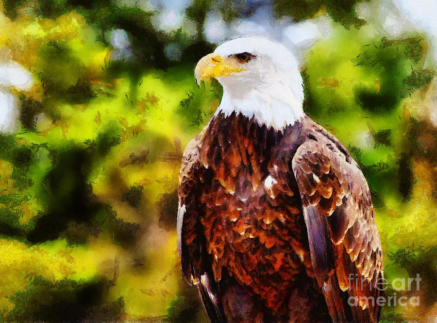 Bald Eagle #11 Photograph by Les Palenik