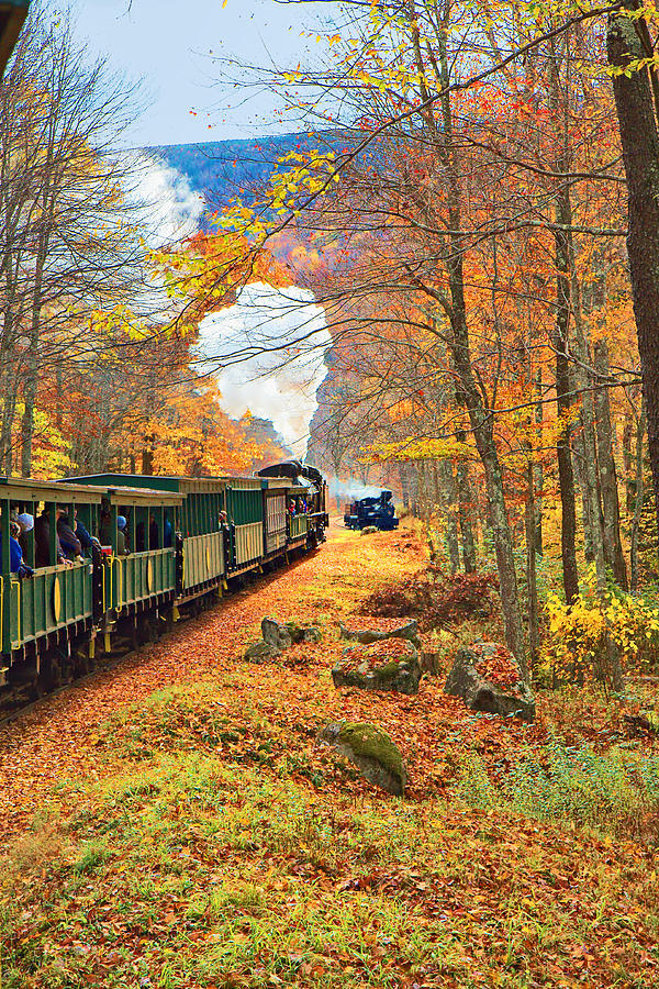 Fall Photograph - Cass Scenic Railroad #13 by Mary Almond