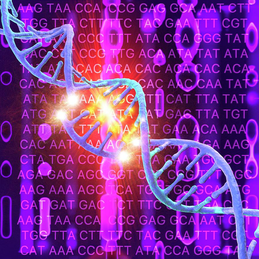 Dna Damage Photograph by Mehau Kulyk/science Photo Library - Fine Art ...