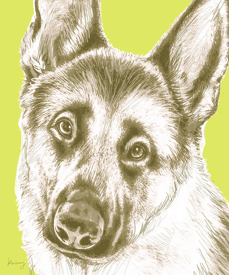 Portrait Drawing - Dog stylised pop modern art drawing sketch portrait #11 by Kim Wang