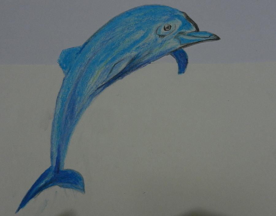 Blue Dolphin Drawing by Naveen Gopinath - Fine Art America