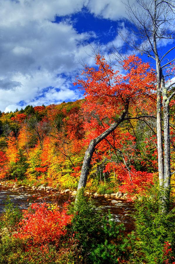 Fall Foliage in New Hampshire #11 Photograph by Paul James Bannerman