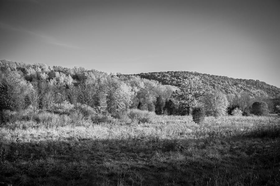 Fall Foliage Sussex County New Jersey Painted BW   #11 Photograph by Rich Franco