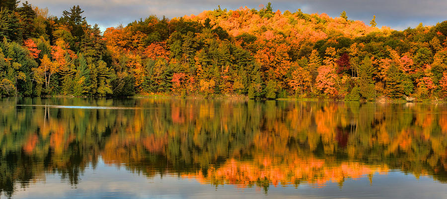 Fall Reflections #11 Photograph by Prince Andre Faubert
