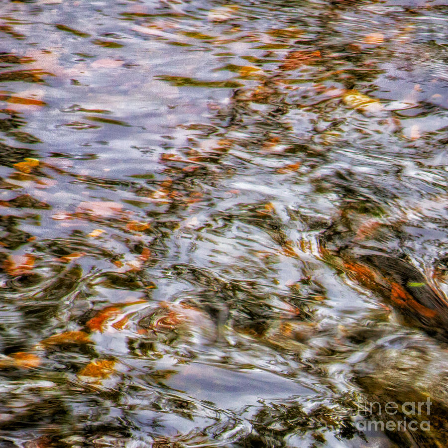 Holy Waters Of Sedona Az By Joanne Bartone #6 Photograph by Joanne Bartone