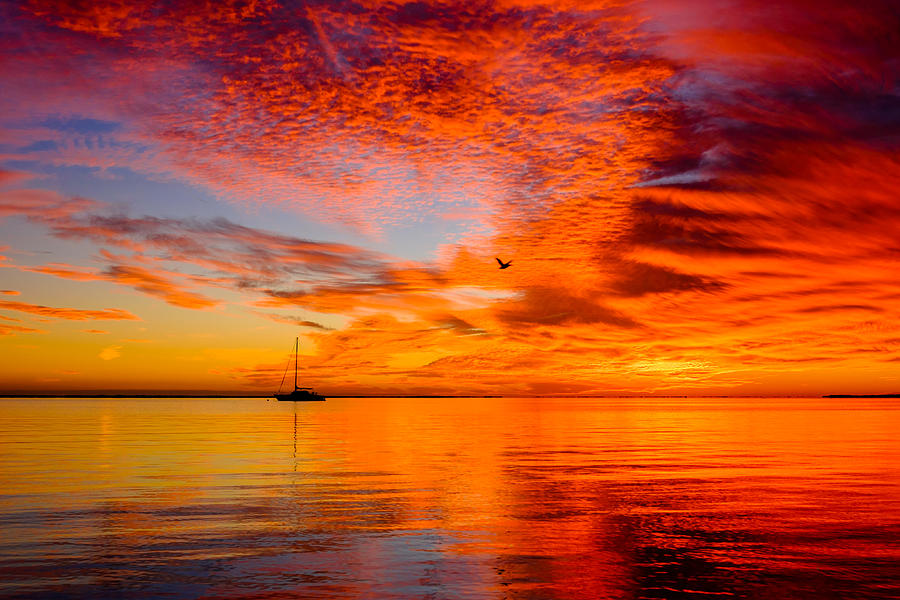 Florida Keys #11 Photograph by Raul Rodriguez