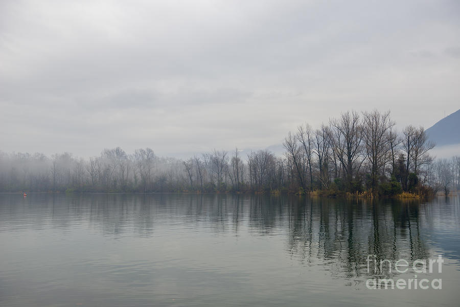 Foggy lake #11 Photograph by Mats Silvan