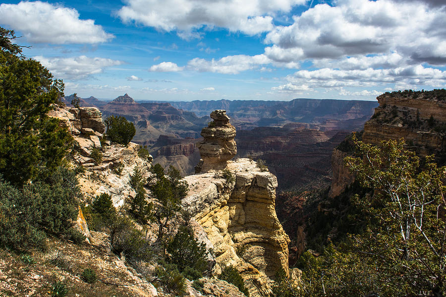 Grand Canyon National Park #13 Photograph by Michael Moriarty Grand Canyon National Park #13 Photograph by Michael Moriarty