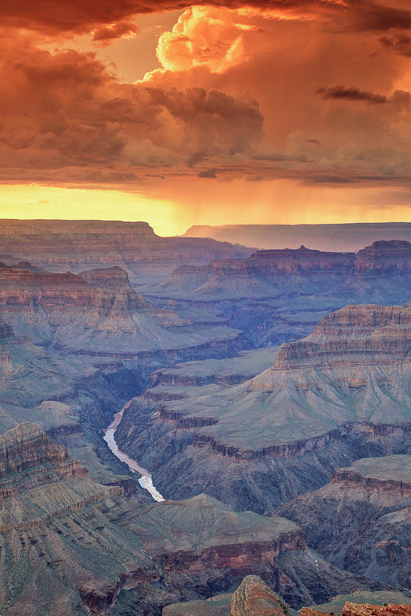 Grand Canyon National Park #11 Photograph by Michele Falzone