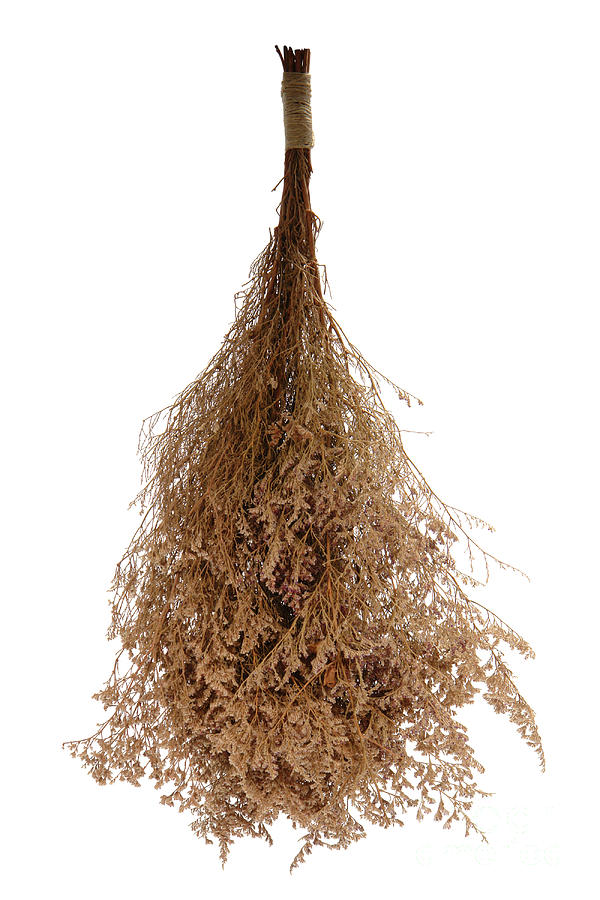 Hanging Dried Flowers Bunch #11 Photograph by Olivier Le Queinec