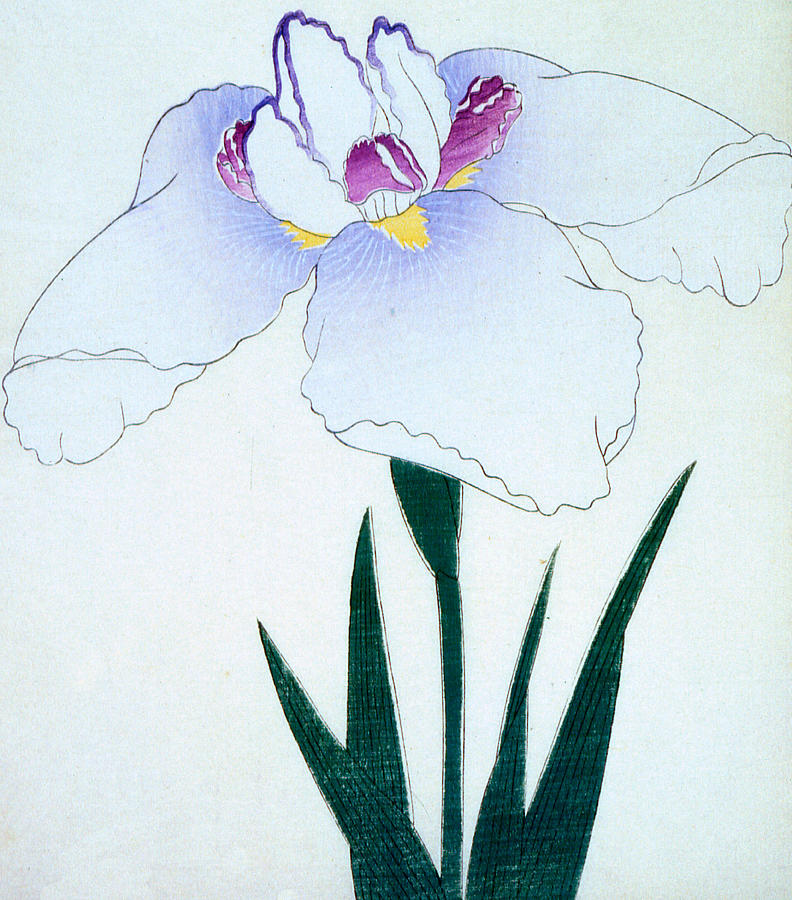 Flower Painting - Japanese Flower by Japanese School