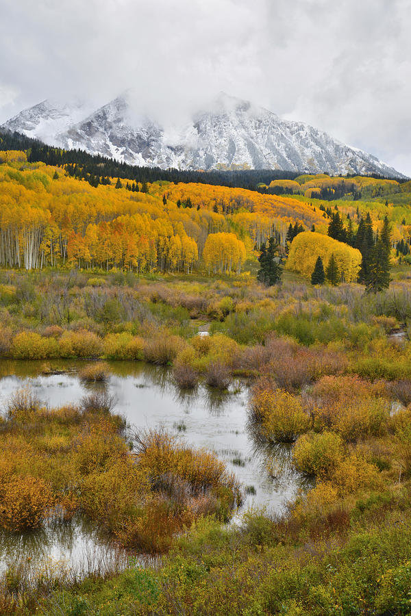 Kebler Pass Fall Colors #10 Photograph by Ray Mathis