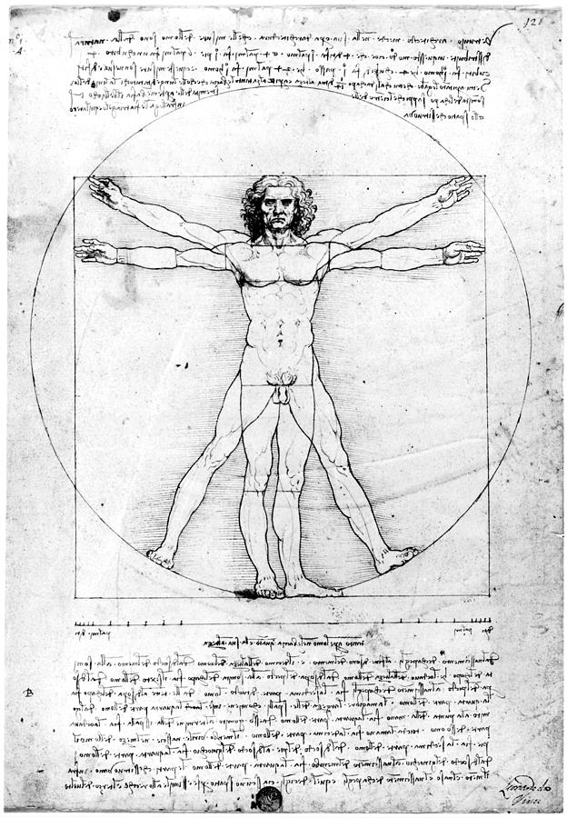 Leonardo - Anatomy Drawing by Leonardo Da Vinci