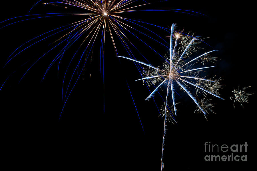 Local Fireworks #11 Photograph by Mark Dodd