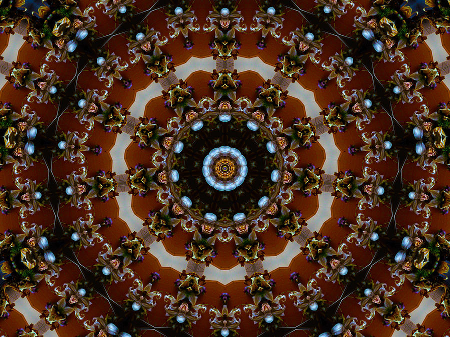 11-point Symmetry Photograph by Baato 11-point Symmetry Photograph by Baato