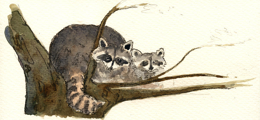 Wildlife Painting - Raccoon #11 by Juan  Bosco