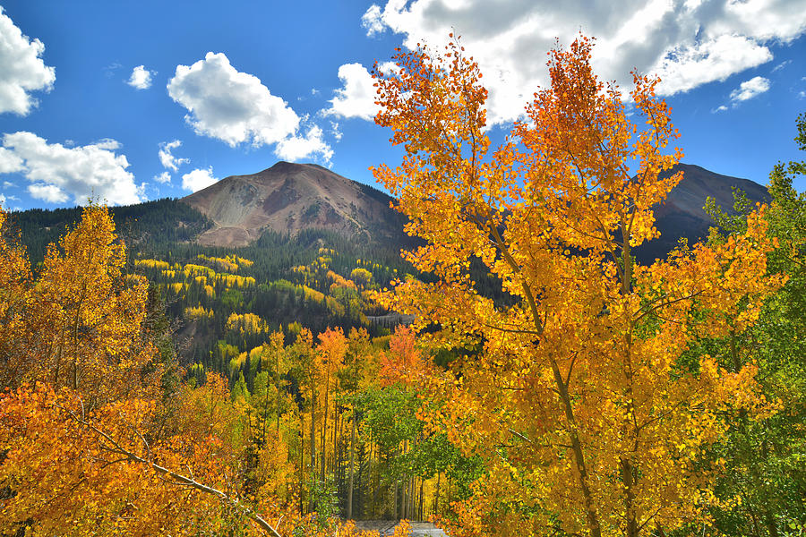 Red Mountain Pass Fall Colors #29 Photograph by Ray Mathis