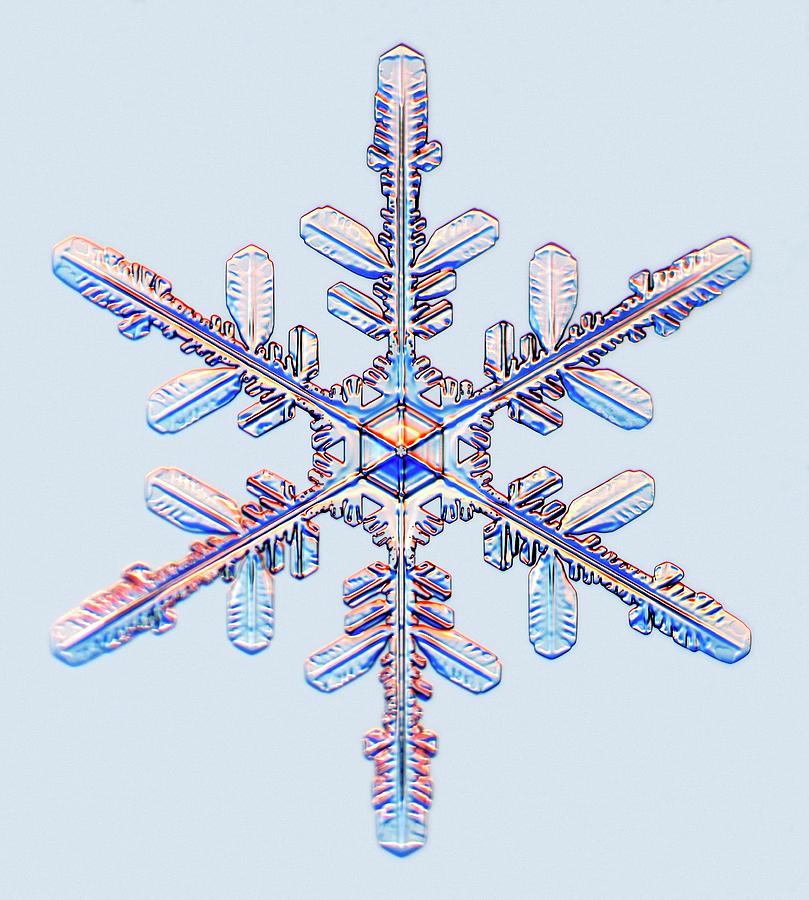 Snowflake #11 Photograph by Kenneth Libbrecht/science Photo Library