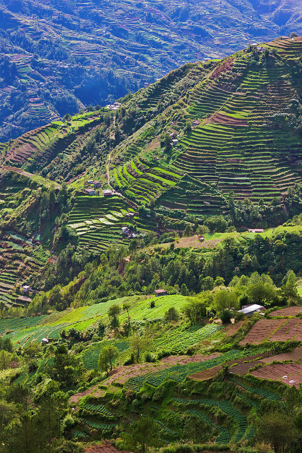 The Rice Terraces Of The Philippine Photograph by Keren Su - Fine Art ...