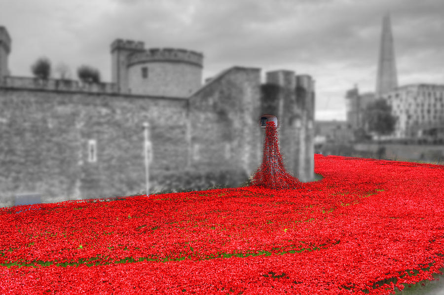 Tower of London Poppies #12 Photograph by Chris Day