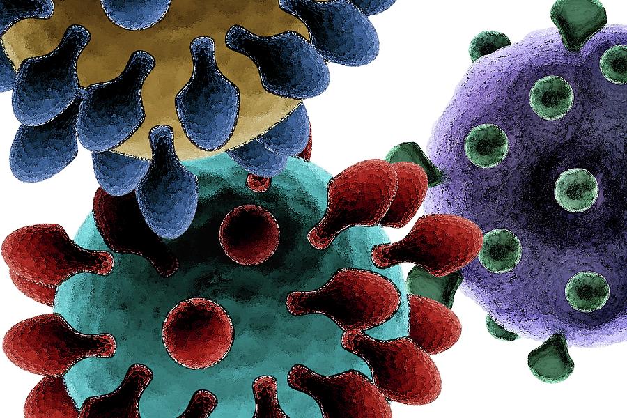Illustration Photograph - Virus Particles #11 by Sigrid Gombert/science Photo Library
