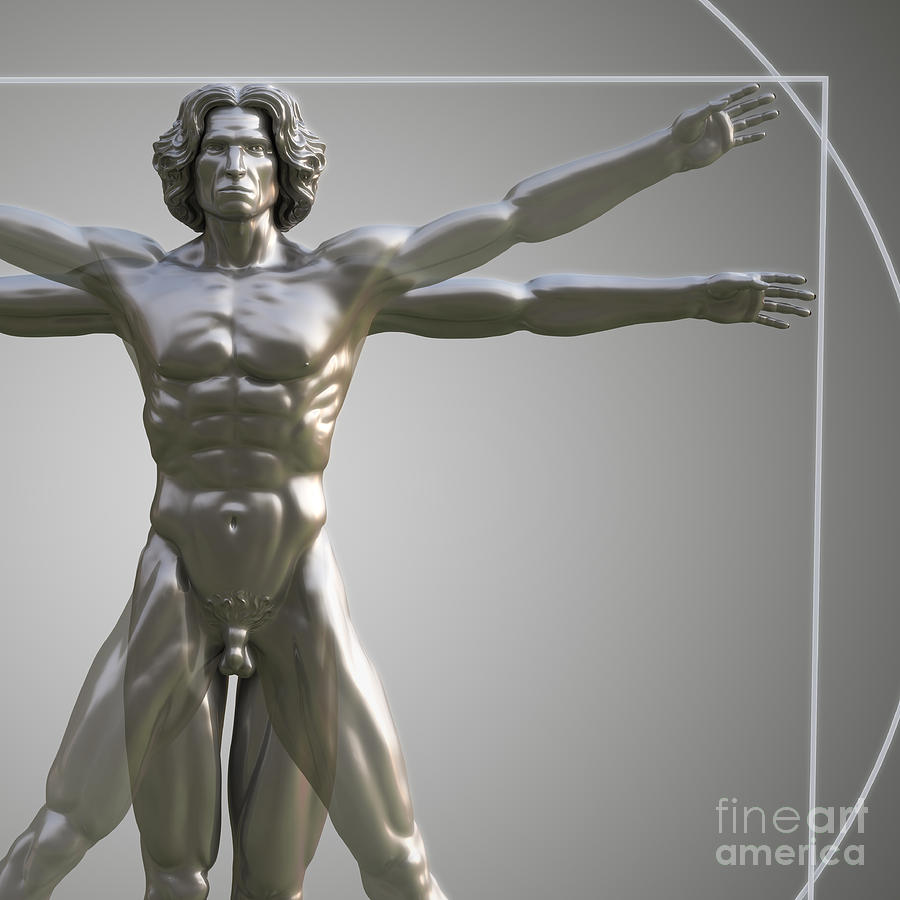 Vitruvian Man #11 Photograph by Science Picture Co