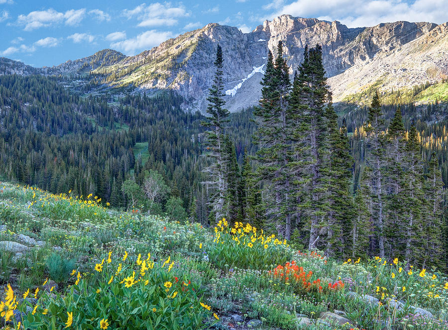 Wasatch Mountains of Utah #11 Photograph by Douglas Pulsipher