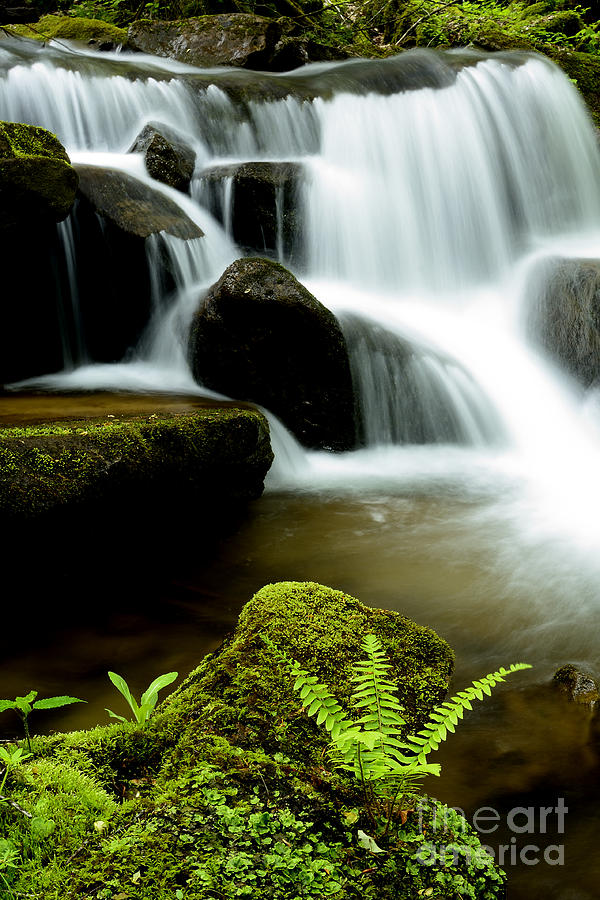 West Virginia Waterfall  #19 Photograph by Thomas R Fletcher