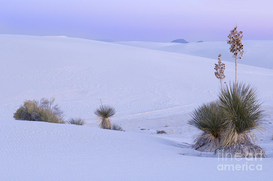 White Sands National Monument Photograph - White Sands #11 by John Shaw