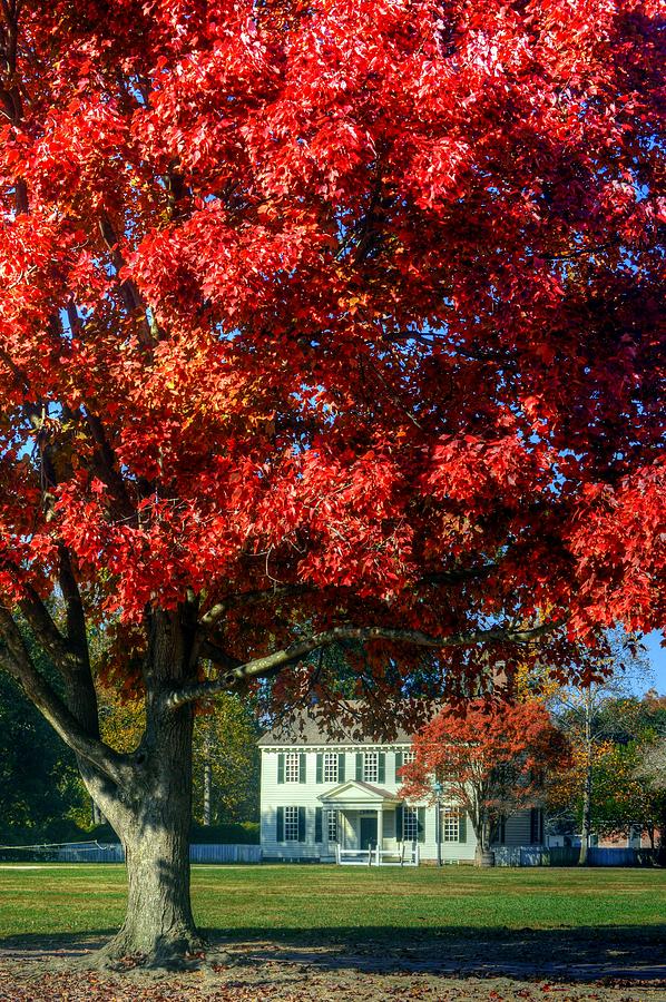 Williamsburg Virginia USA #11 Photograph by Paul James Bannerman