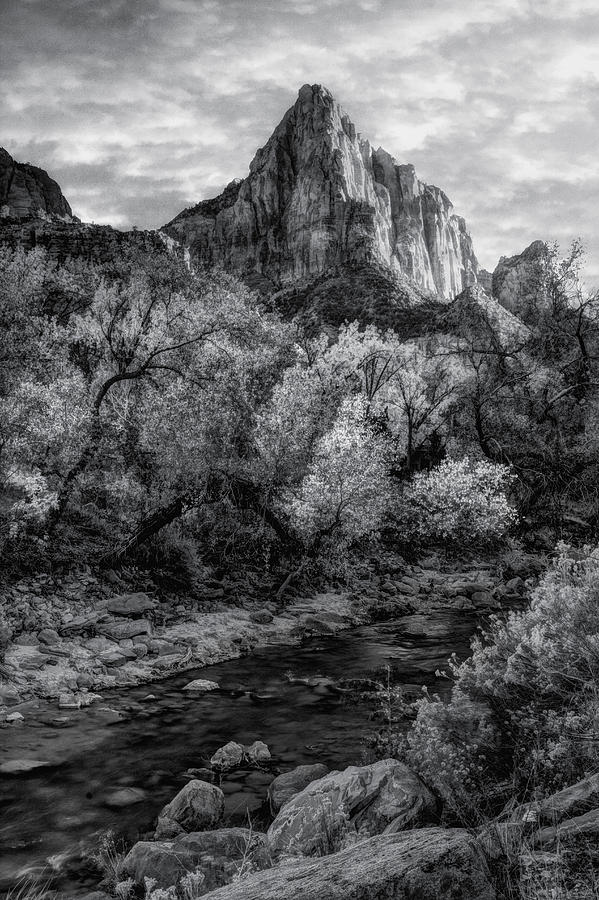 Zion National Park #11 Photograph by Douglas Pulsipher