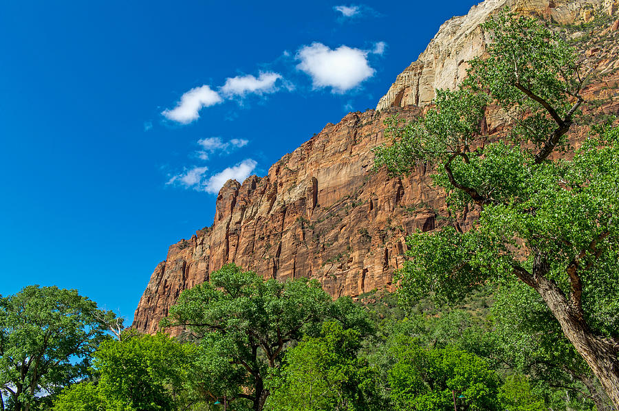 Zion National Park #11 Photograph by Willie Harper