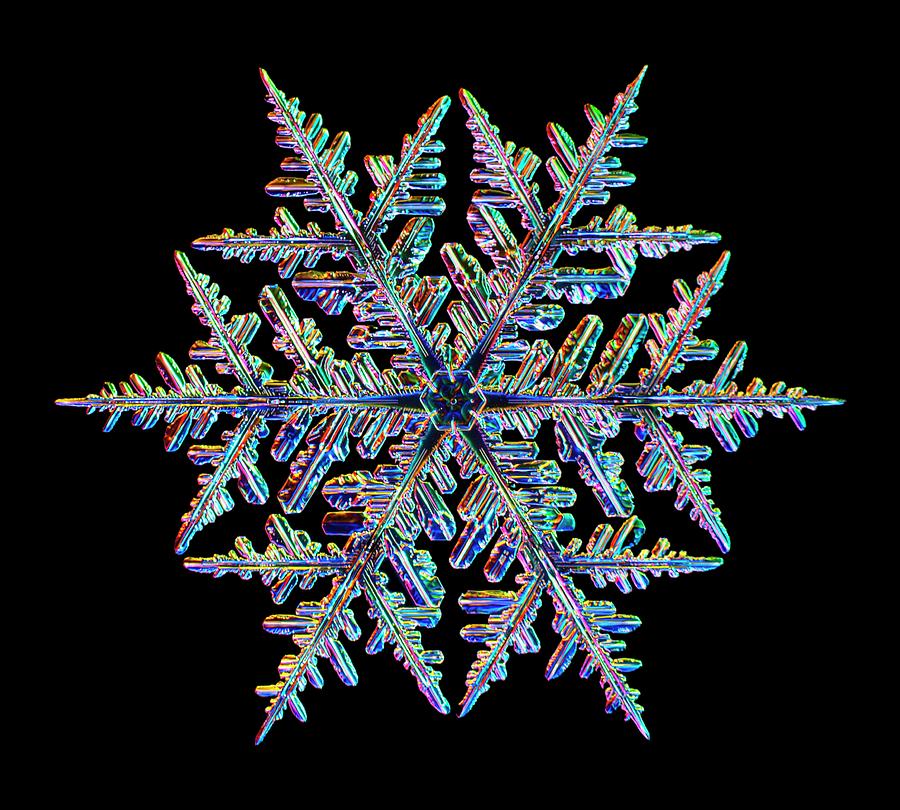 Snowflake #110 Photograph by Kenneth Libbrecht