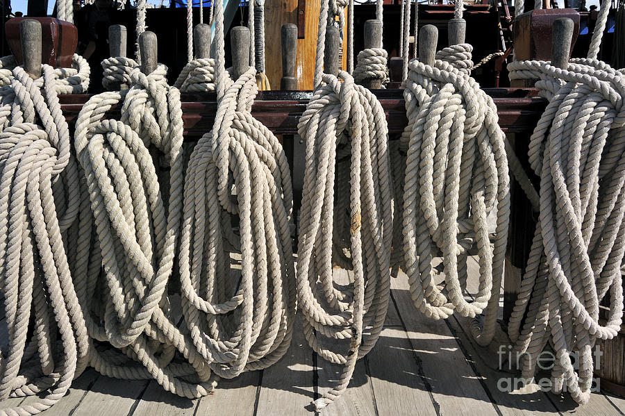 Coiled Ropes of Frigate Photograph by Arterra Picture Library