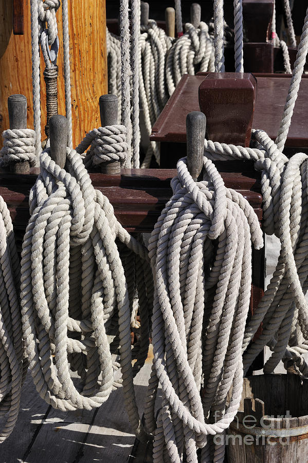 Coiled Ropes of Sailing Ship Photograph by Arterra Picture Library