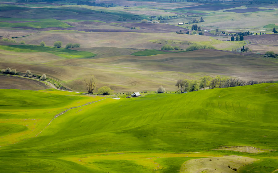 110517-112 The Palouse Photograph by Albert Seger