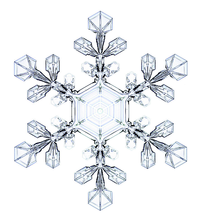 Snowflake #117 Photograph by Kenneth Libbrecht
