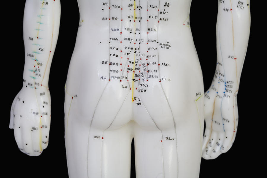 Acupuncture Points #12 Photograph by Science Stock Photography