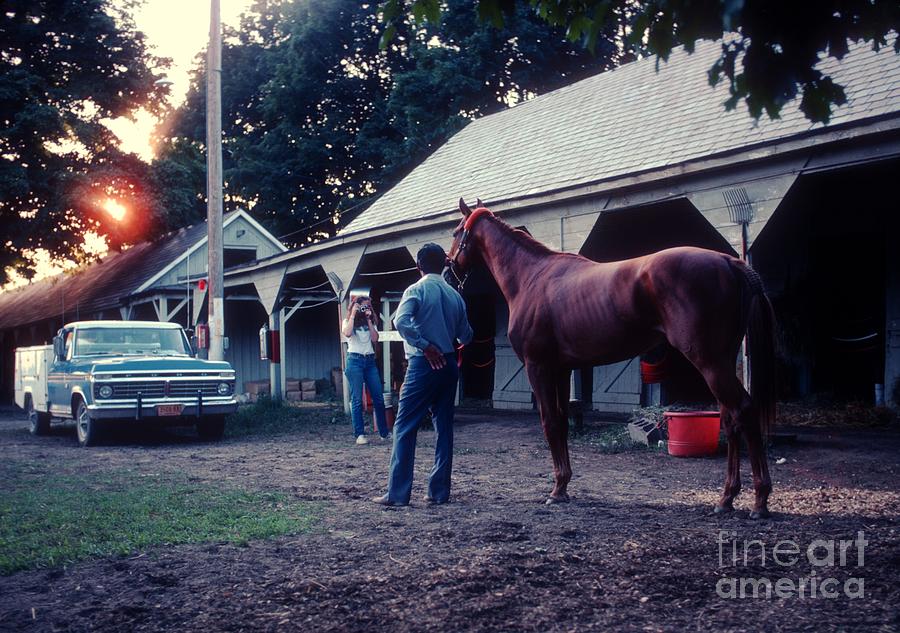 Affirmed #13 Photograph by Marc Bittan