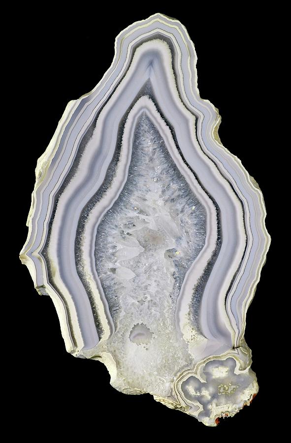 Agate #12 Photograph by Natural History Museum, London/science Photo Library