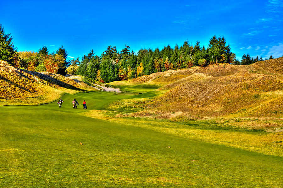 #12 at Chambers Bay Golf Course - Location of the 2015 U.S. Open Championship #12 Photograph by David Patterson