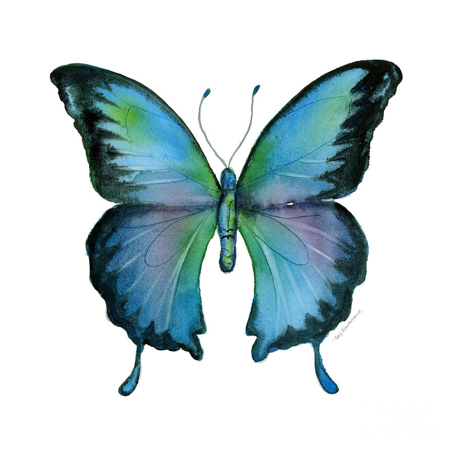 Blue Painting - 12 Blue Emperor Butterfly by Amy Kirkpatrick