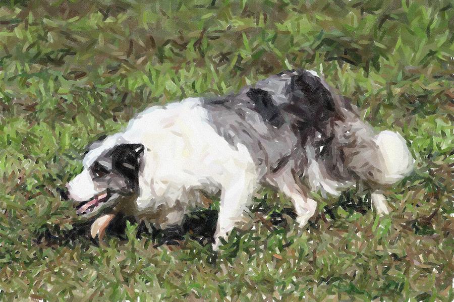 Border Collie Dog Portrait #12 Pastel by Olde Time  Mercantile