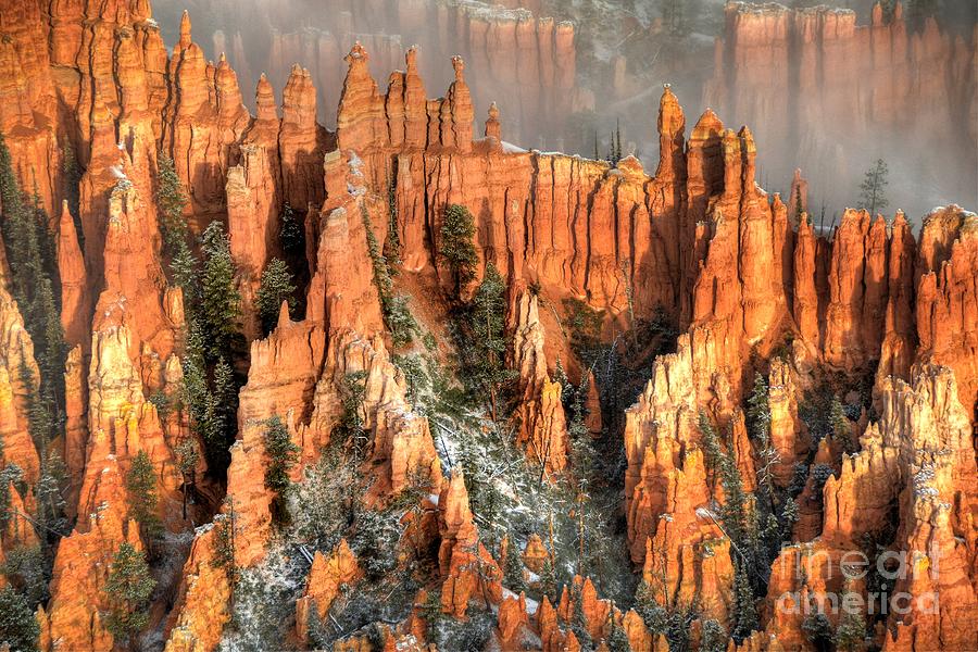 Bryce Canyon  #12 Photograph by Marc Bittan
